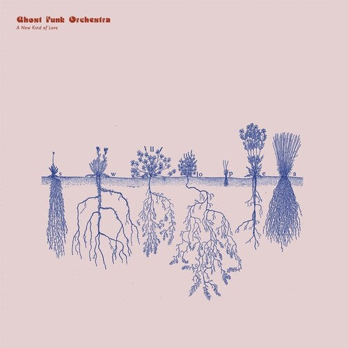 Ghost Funk Orchestra – A New Kind Of Love (indie exclusive transparent red)