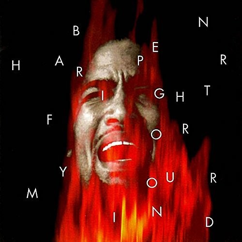 Ben Harper – Fight For Your Mind 2xLP