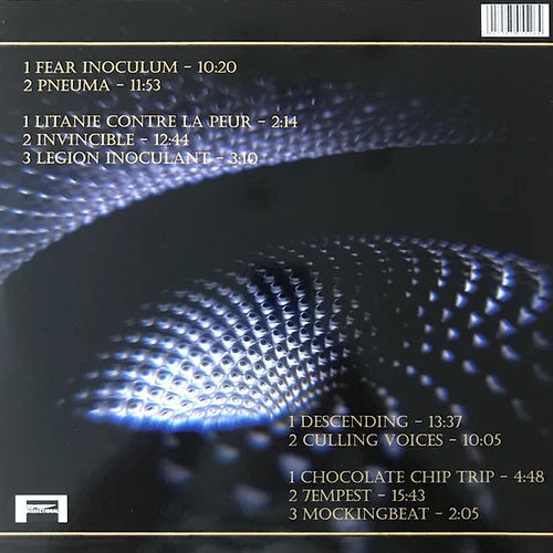 TOOL – Fear Inoculum - 2xLP (unofficial pressings)