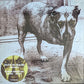 Alice In Chains – Alice In Chains s/t (three legged dog)- 2xLP (unofficial)
